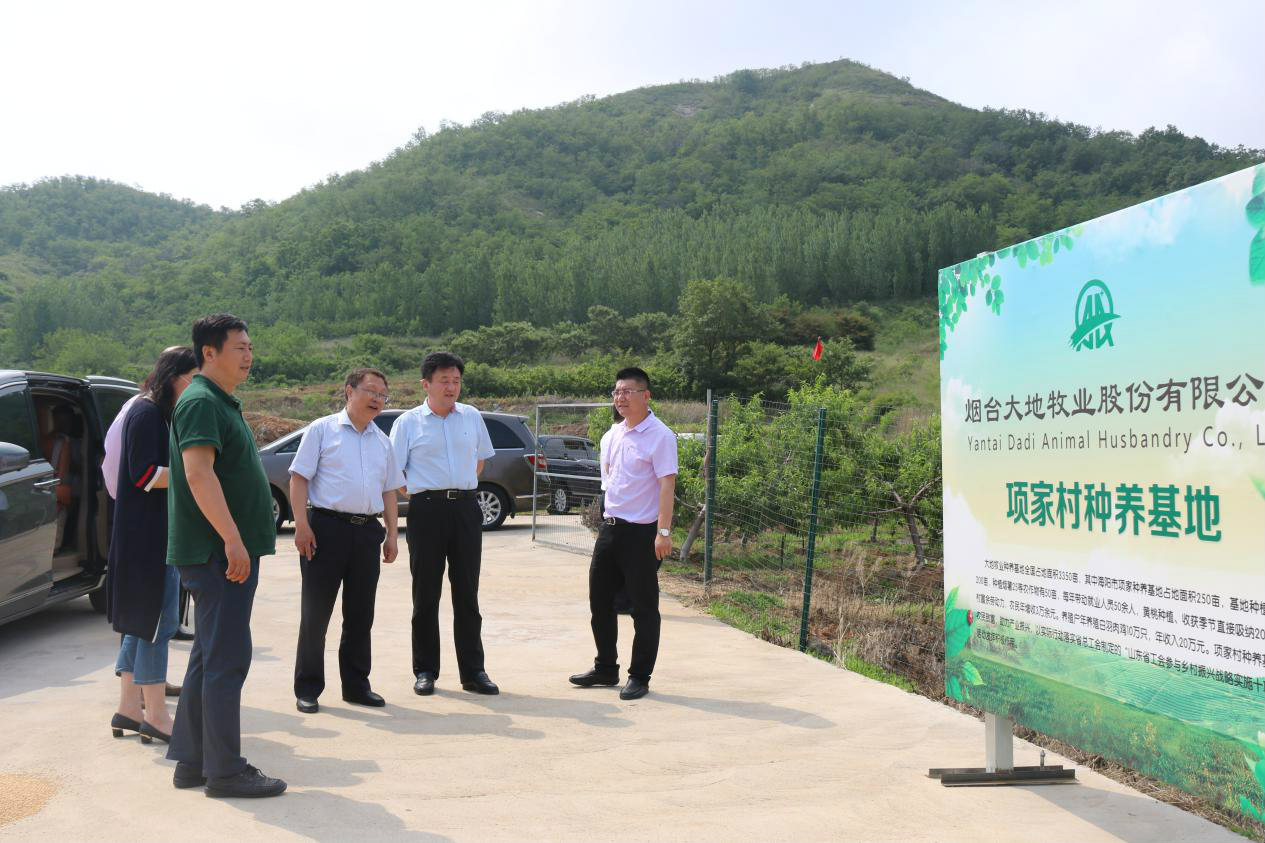 山东省总工会领导到行村镇工友创业园观摩